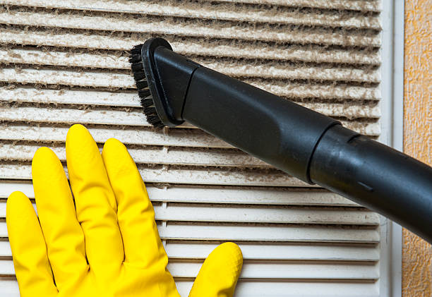 Best Air Vent Cleaning Services  in Wright City, MO